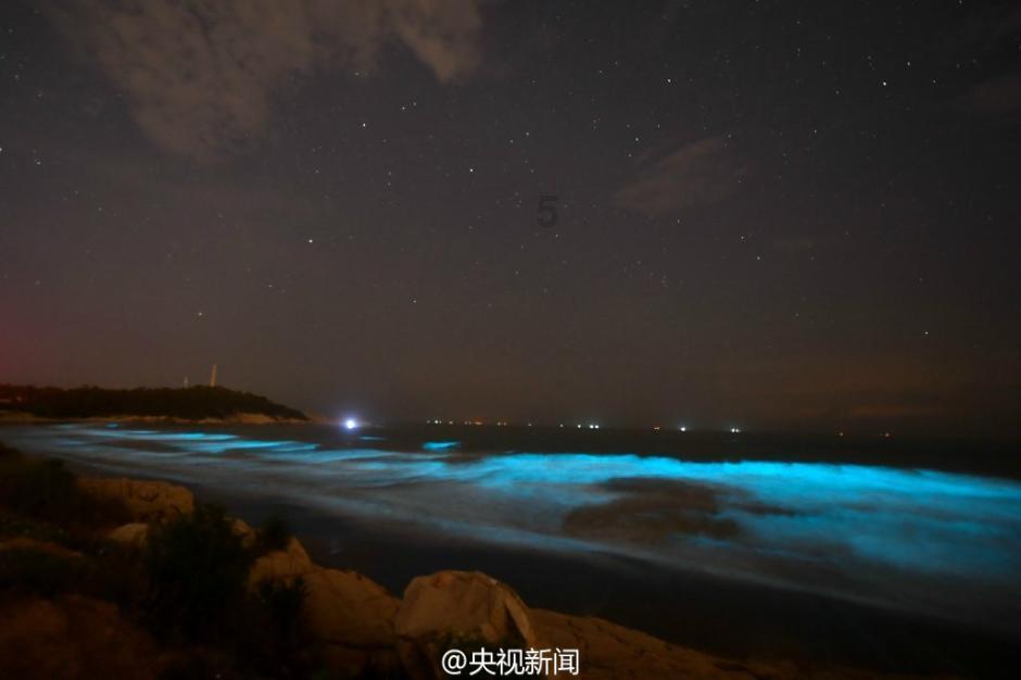 达州宣汉县科学谋划森林“四库” 推动城乡融合发展